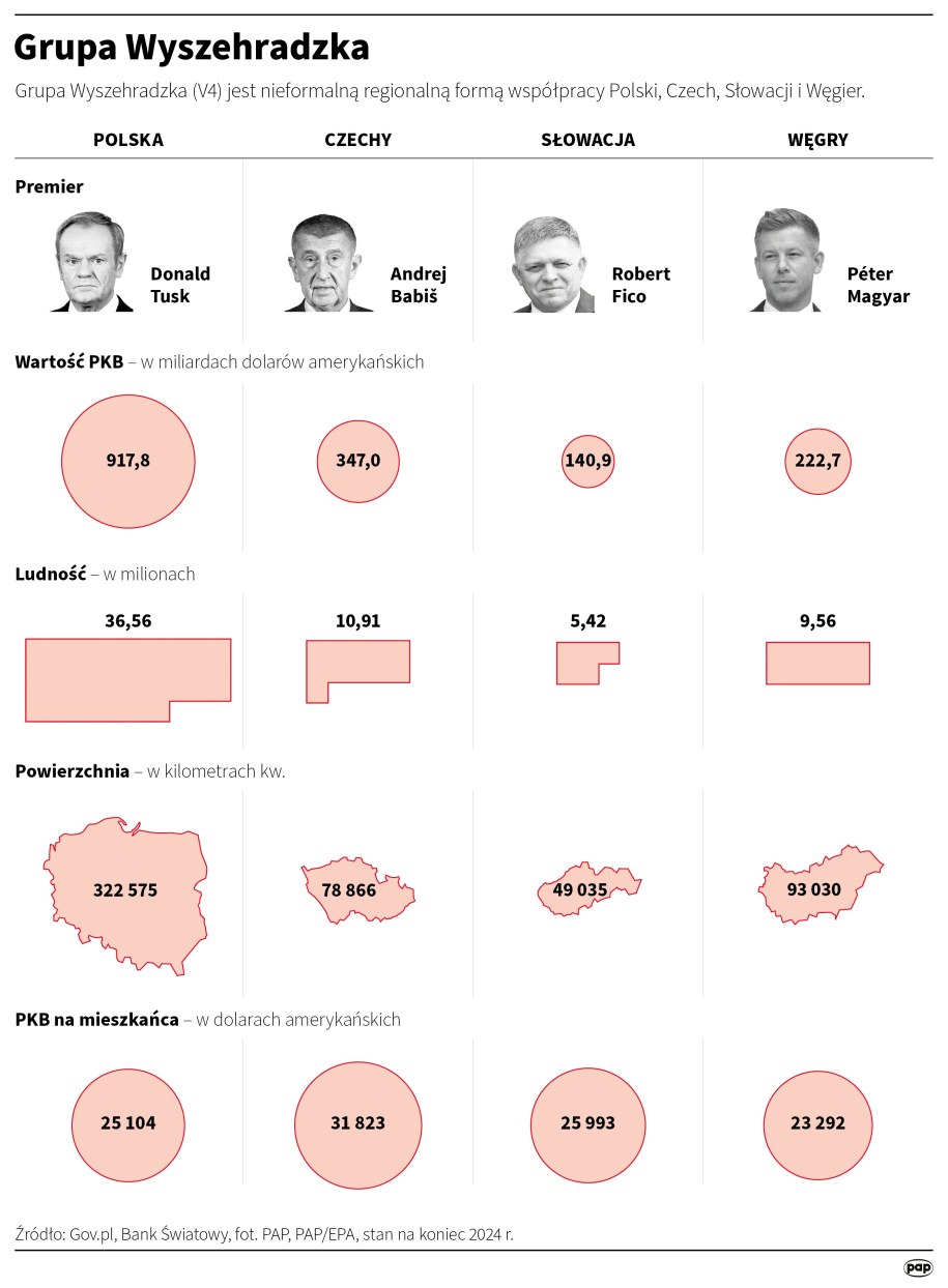 Grupa Wyszehradzka /Mateusz Krymski /PAP