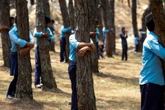 Grupowe tulenie drzew w Nepalu 