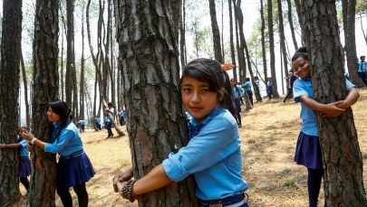 Grupowe tulenie drzew w Nepalu 