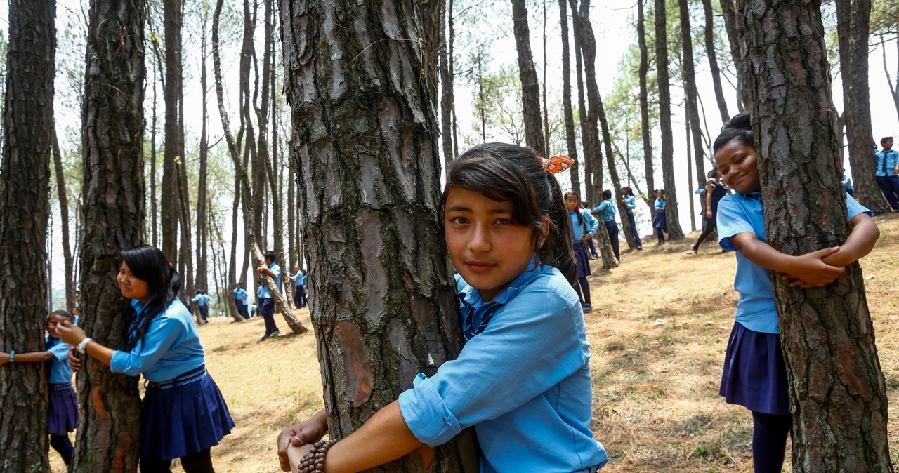 Grupowe tulenie drzew w Nepalu 