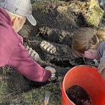 Grzebał w ziemi na działce przyjaciela. Znalazł ogromne i bezcenne zęby