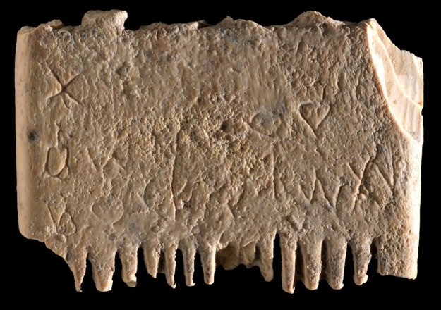 Grzebień z kości słoniowej z Tel Lachish /Dafna Gazit, Israel Antiquities Authority /Materiały prasowe