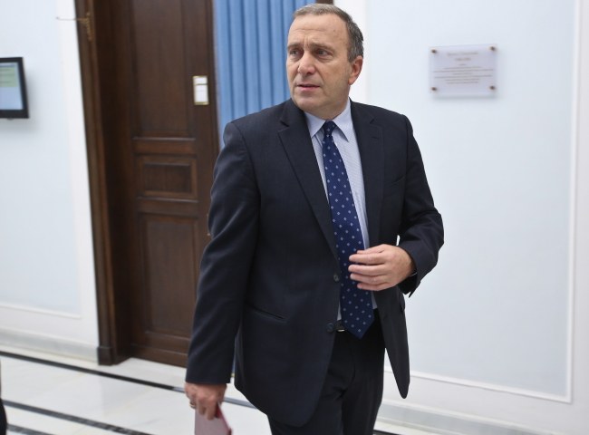 Grzegorz Schetyna /Rafał Guz /PAP