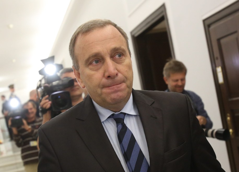 Grzegorz Schetyna /Leszek Szymański /PAP