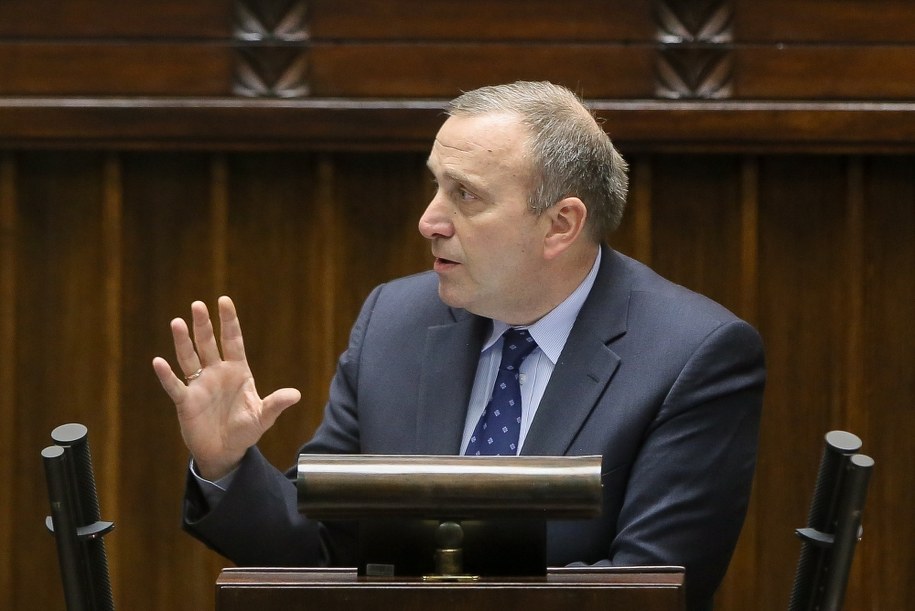 Grzegorz Schetyna /PAP/Paweł Supernak /PAP