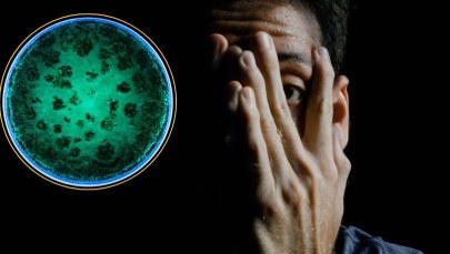 Grzyb-ludożerca, który zje cię od środka. Wkrótce będzie wszędzie