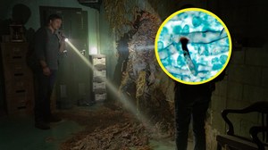 Grzyb z "The Last of Us" raczej nam nie grozi. Ale inne gatunki - już tak