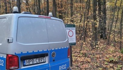 Grzybiarz chciał zrobić na złość żonie 