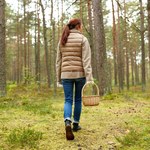 Grzybiarze mogą zacząć odliczanie. "Sukces w grzybobraniu będzie murowany"
