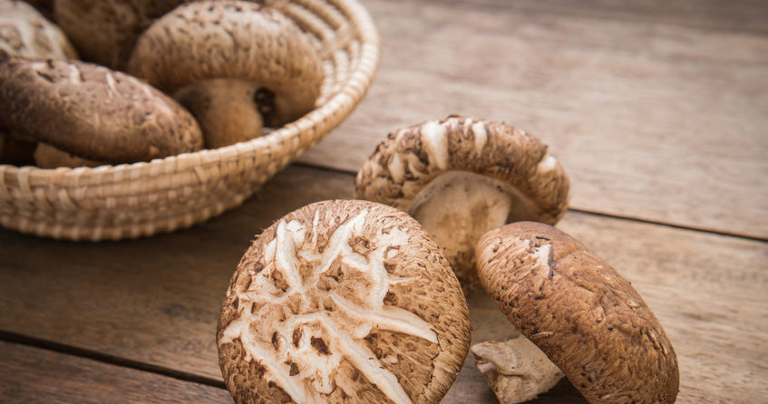 Grzybki shiitake /&copy;123RF/PICSEL