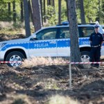 Grzybobranie z niespodzianką. Mandaty sypią się jak maślaki do koszyka