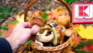 Grzybowe szaleństwo w Kauflandzie. Zrób zapasy, póki trwa promocja!