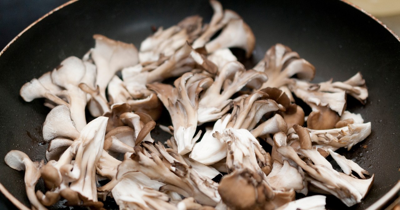 Grzyby leśne kuszą smakiem i aromatem, ale nawet jadalne potrafią zaszkodzić. Wystarczy, że są nieświeże lub niewłaściwie przygotowane, by wywołać zatrucie /123RF/PICSEL
