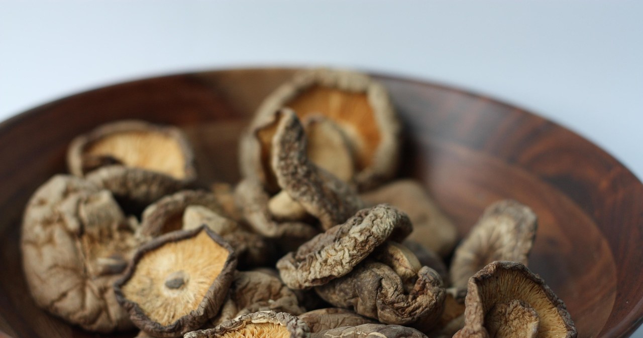 Grzyby shiitake często stosowane są w kosmetykach /Bluebird Provisions /Pixabay.com