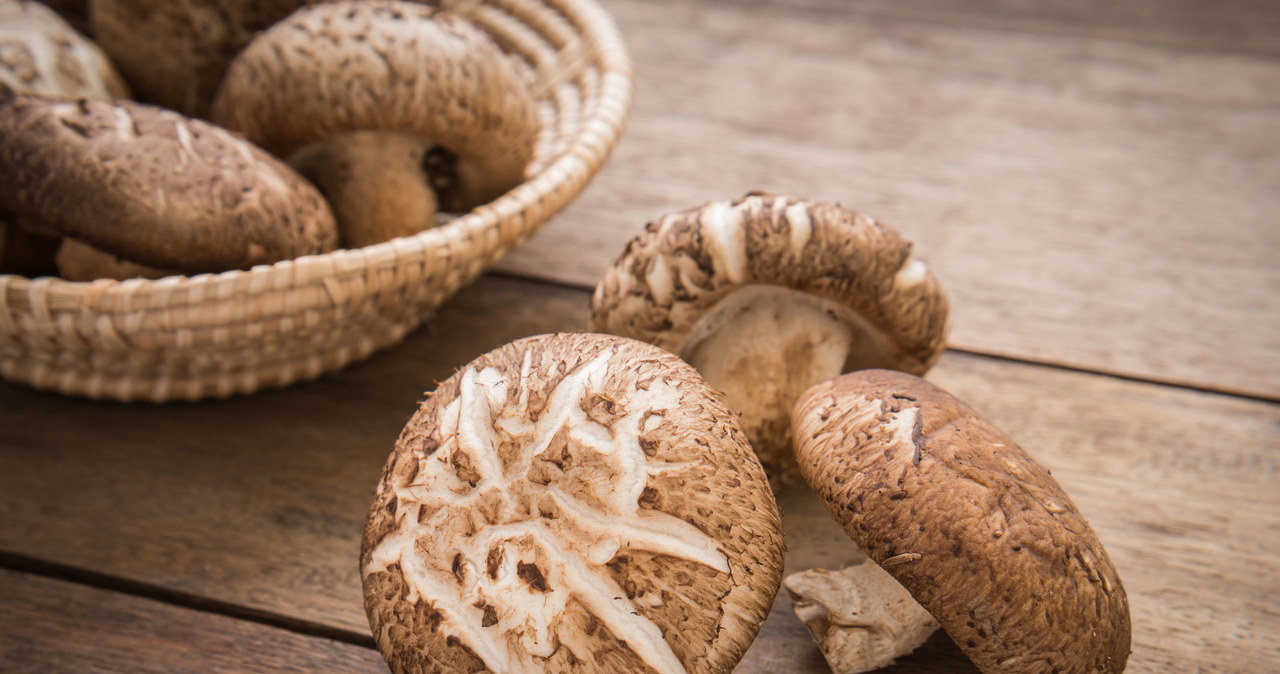 Grzyby shiitake - wsparcie w walce z nadciśnieniem /123RF/PICSEL