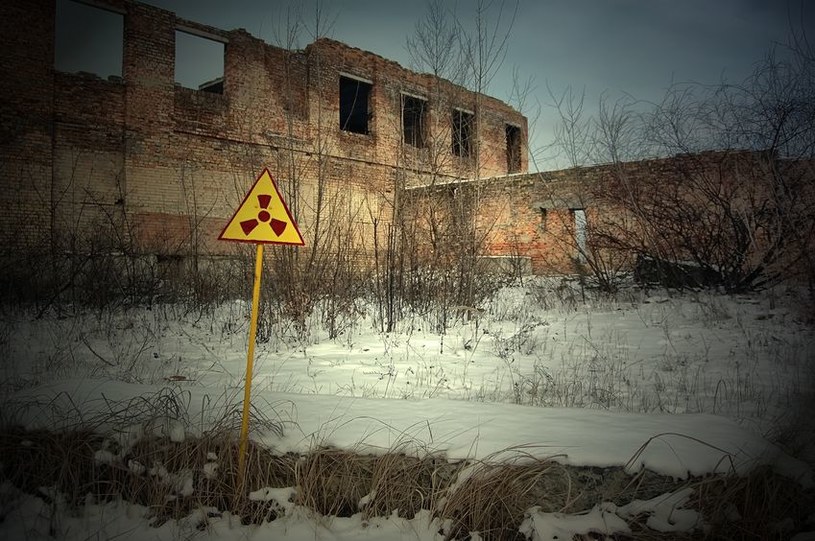 Grzyby z Czarnobyla przyczynią się do rozwoju przyszłych misji kosmicznych? /123RF/PICSEL