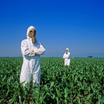 Grzywna 400 tys. euro dla Monsanto za nielegalne pozyskiwanie danych 