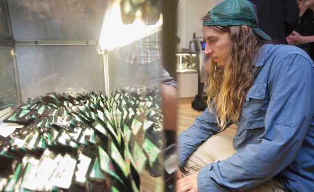 Gubernatorzy zazdroszczą marihuany. Też chcą legalizować