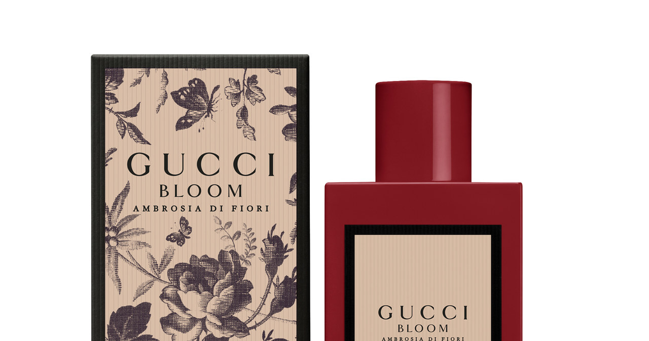 Gucci Bloom Ambrosia di Fiori /materiały prasowe