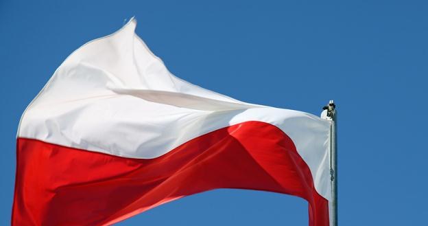 GUS opublikował dane o polskiej gospodarce /&copy;123RF/PICSEL
