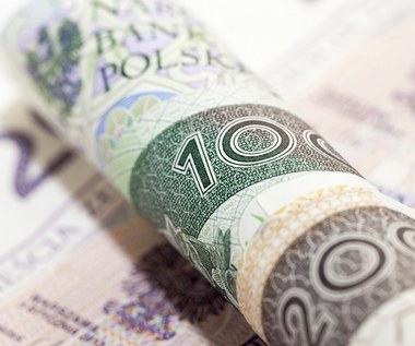 GUS podał, ile zarabiają Polacy. Wzrost wynagrodzeń ledwo pobił inflację w 2023 r. 