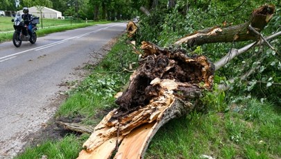 Gwałtowne burze nad Polską. Poszkodowany 11-latek
