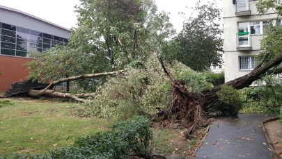 Gwałtowne burze w całej Polsce. Strażacy usuwają skutki nawałnic