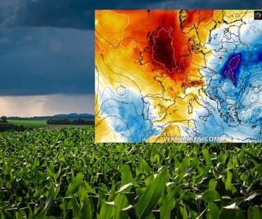 Gwałtowne ochłodzenie: Poniedziałek z gorszą pogodą