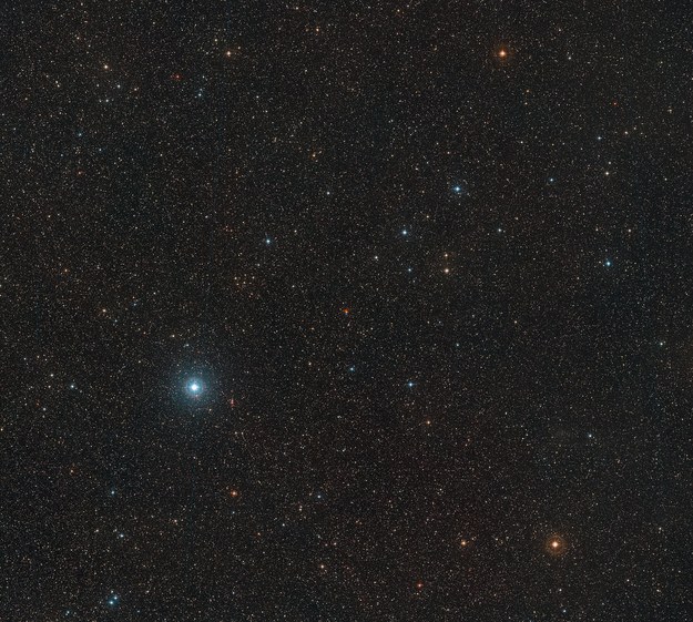 Gwiazda Barnarda widoczna w samym centrum obrazu, w Gwiazdozbiorze Wężownika /ESO/Digitized Sky Survey 2/ Davide De Martin. E - Red Dots /Materiały prasowe