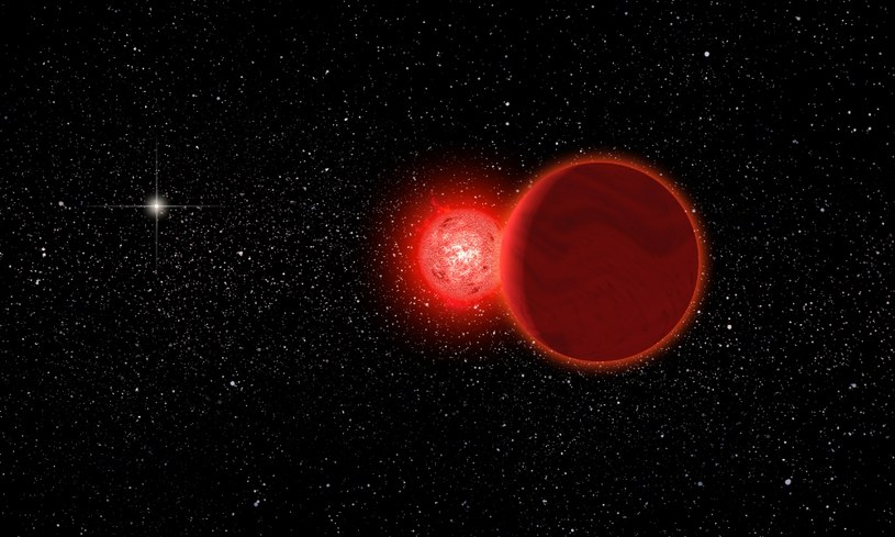 Gwiazda Scholza minęła Słońce o odległość zaledwie 0,8 roku świetlnego (Fot. University of Rochester) /materiały prasowe