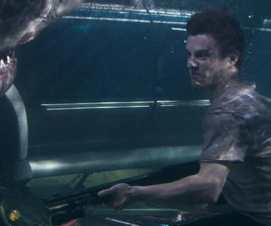 Gwiazda "Zmierzchu" walczy z rekinami