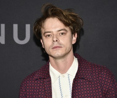 Gwiazdor "Stanger Things" w nowym projekcie Netfliksa. Co wiemy?