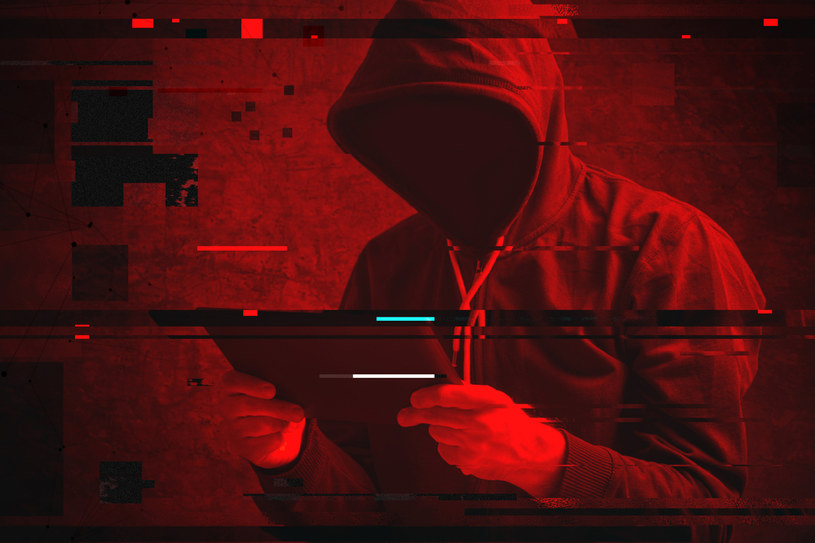 Hakerzy zaatakowali Sfinks Polska /123RF/PICSEL