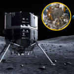 Hakuto-R leci na Księżyc. Pierwszy raz w historii zrobi to prywatna firma! 