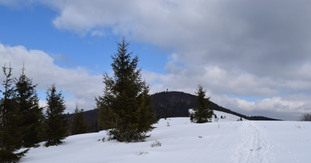 Hala Mogielica /EKM /INTERIA.PL