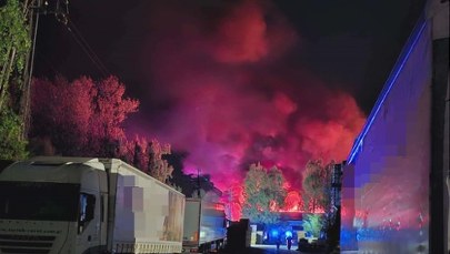 Hala tartaku stanęła w ogniu. Potężny pożar w Wielkopolsce