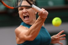 Halep i Djoković najlepszymi singlistami roku według ITF