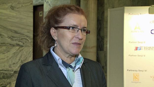 Halina Pupacz, prezes Polskiej Izby Paliw Płynnych /Newseria Biznes