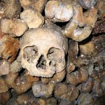 Halloween: Darmowy nocleg wśród milionów czaszek w paryskich katakumbach