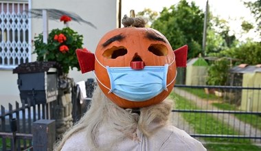 Halloween marnuje tysiące dyń