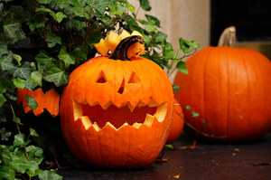 Halloween na wyspach. Zmarnują około 14,5 mln dyń 