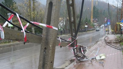 Halny na Podhalu. Wichura powaliła dziesiątki drzew