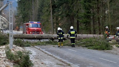 Halny szaleje w Zakopanem. Zwołano sztab kryzysowy