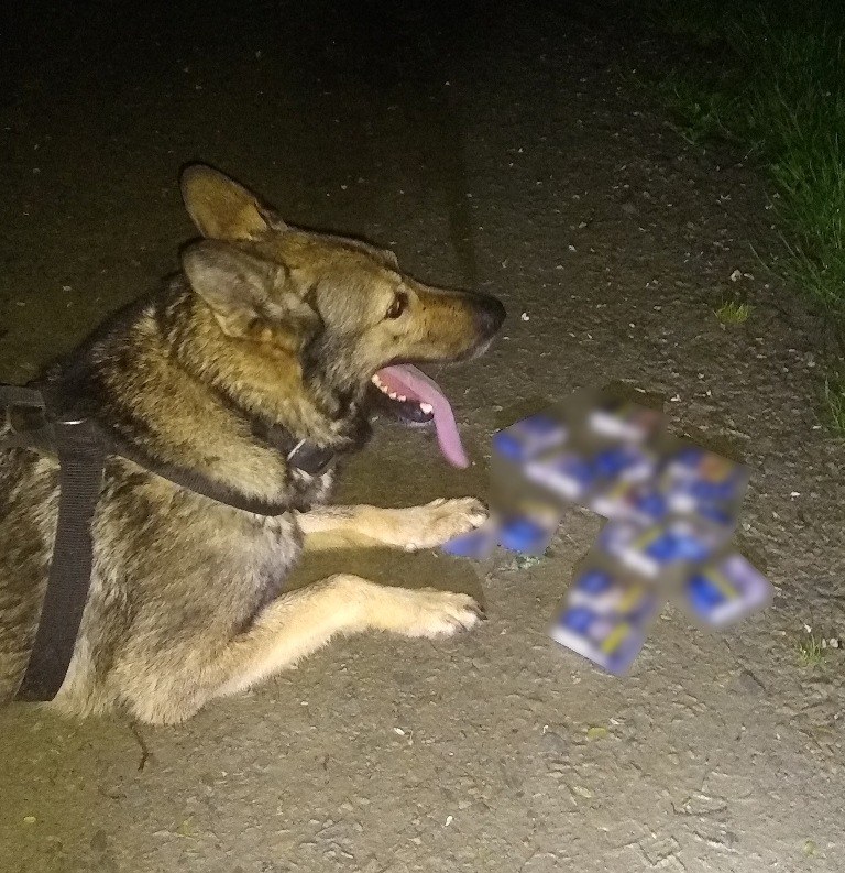 Halny ujawnia nielegalne papierosy /Policja