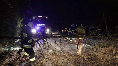 Halny w Tatrach. Wiało z prędkością nawet 200 km/h 