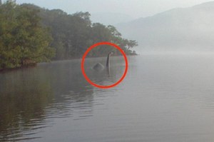 Halo, NASA? Sprawa jest, pomożecie szukać potwora z Loch Ness? 