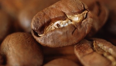 Hamburg zabrania używania kapsułek z kawą