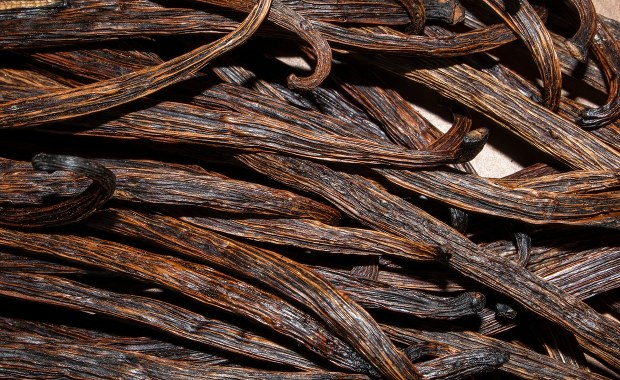 Hamulec dla łasuchów. Mało znana moc wanilii