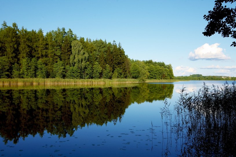 Hańcza to najgłębsze jezioro w Polsce /Rafal Jablonski /East News