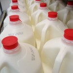 Handel: Embargo na ukraińskie mleko i sery